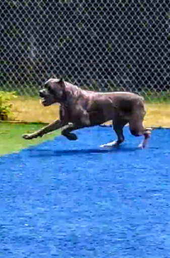 Park «Newbridge Rd Park», reviews and photos, 2600 Newbridge Rd, Bellmore, NY 11710, USA