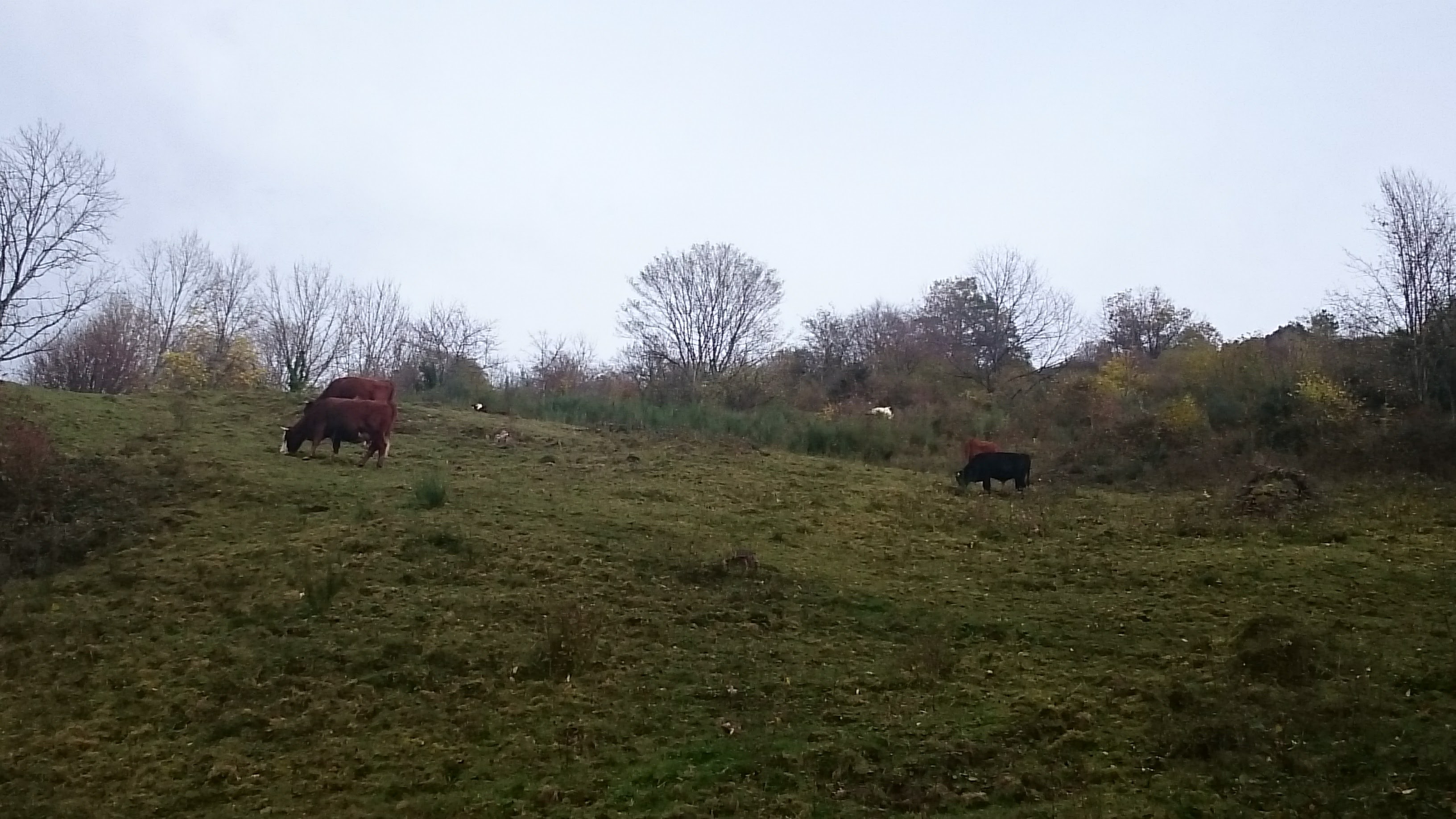 Photo n° 1 de l'avis de Marie-Christine.R fait le 20/01/2018 à 10:29