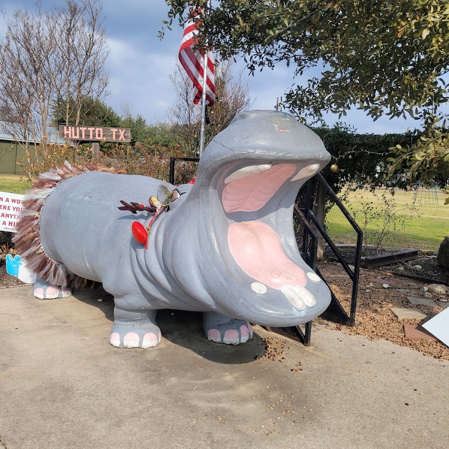 Hutto White Hippo