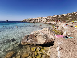 Scogliera Cala Azzurra'in fotoğrafı imkanlar alanı