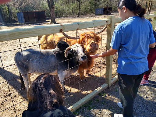 Zoo «Gators and Friends», reviews and photos, 11441 US-80, Greenwood, LA 71033, USA