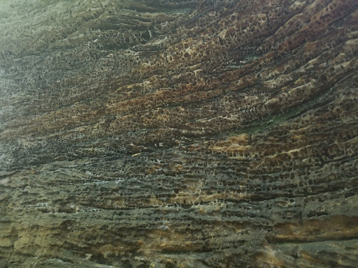 Vista Point «Ledges Overlook», reviews and photos, 405 Truxell Rd, Peninsula, OH 44264, USA