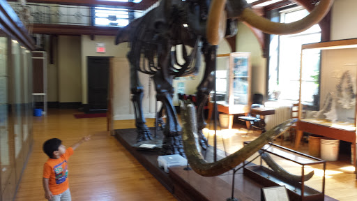 Museum «Rutgers Geology Museum», reviews and photos, 85 Somerset St, New Brunswick, NJ 08901, USA