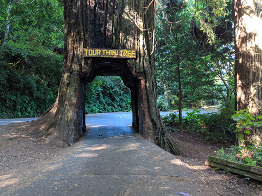 Tourist Attraction «Klamath Tour Thru Tree», reviews and photos, 430 California 169, Klamath, CA 95548, USA