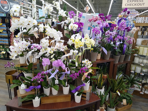 Grocery Store «ACME Markets», reviews and photos, 236 E Glenwood Ave, Smyrna, DE 19977, USA