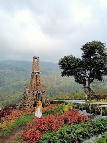 10 Area Rekreasi Alam di Kabupaten Mojokerto yang Menarik untuk Dikunjungi