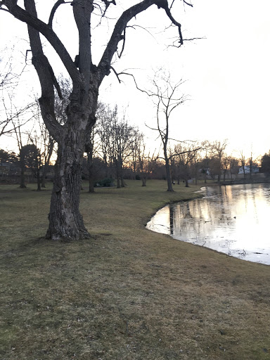 Park «Larz Anderson Park», reviews and photos, 325 Goddard Ave, Brookline, MA 02445, USA