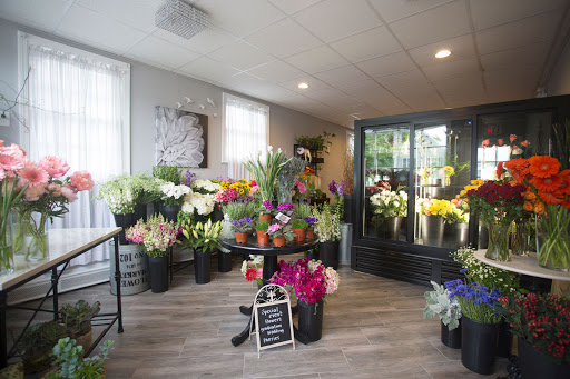 Florist «Post Road Flowers», reviews and photos, 310 Boston Post Rd, Wayland, MA 01778, USA
