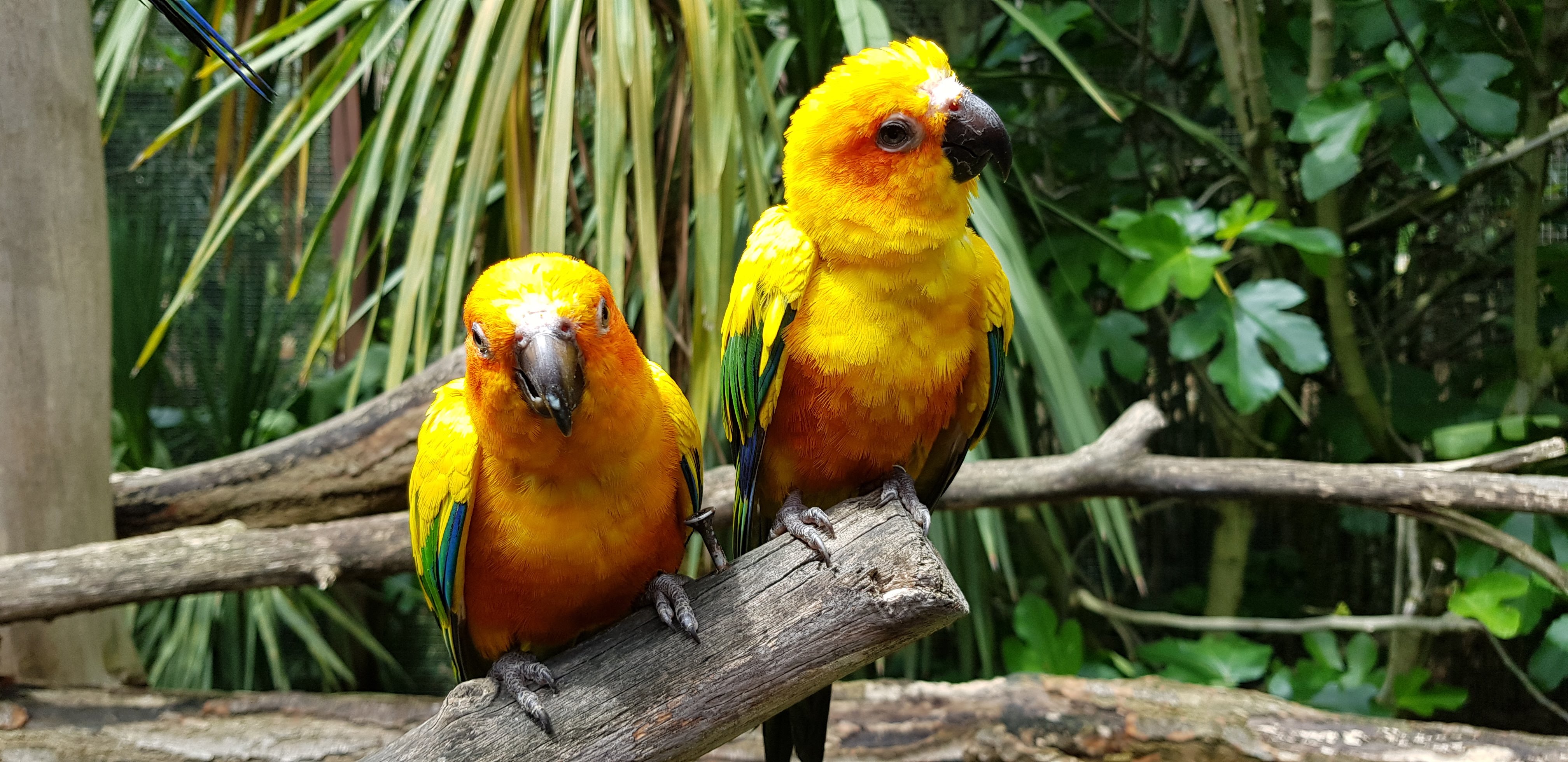 Photo n° 2 de l'avis de Frederic.a fait le 16/06/2023 à 07:23