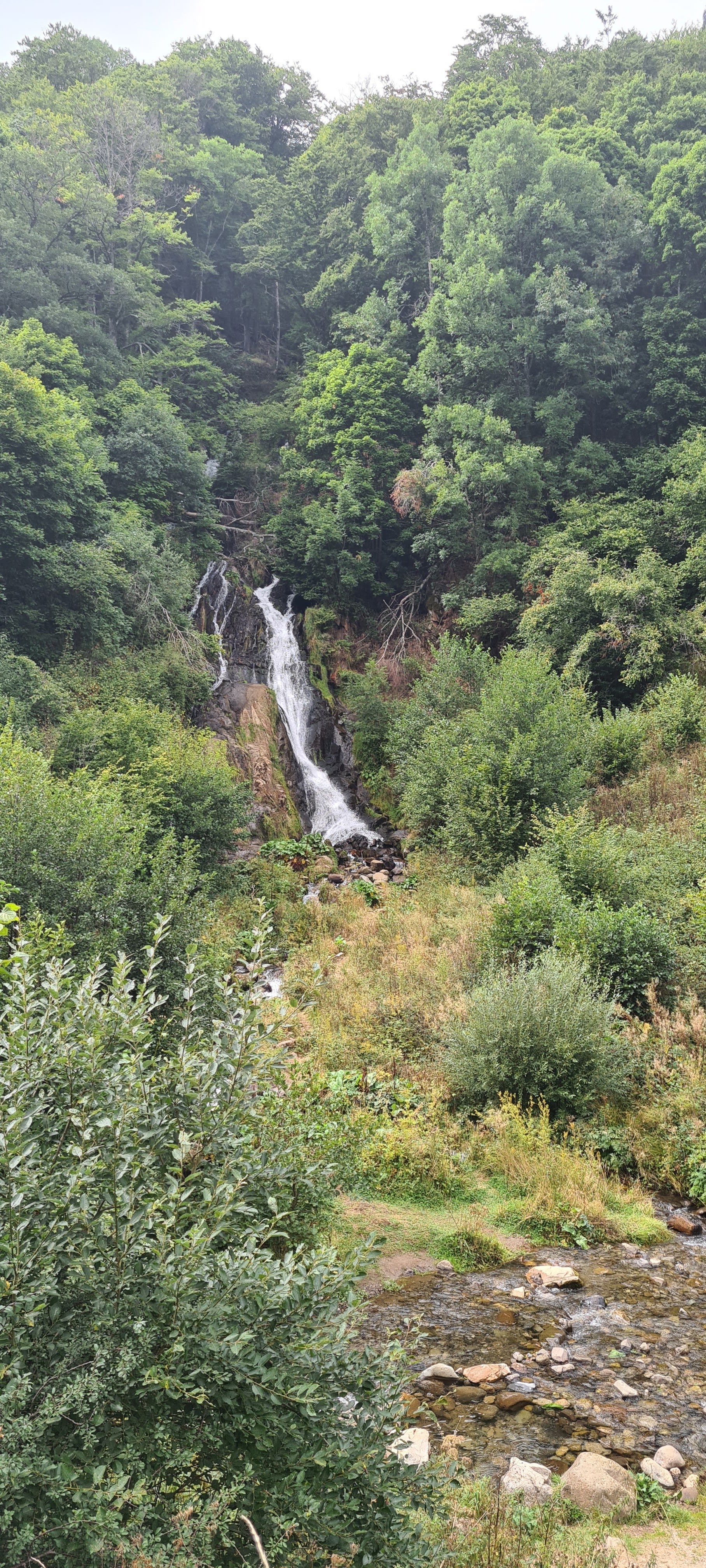 Photo n° 6 de l'avis de Fred.e fait le 27/08/2022 à 18:01