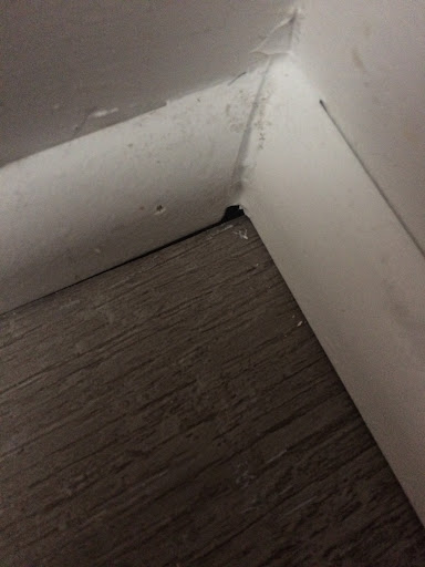 Roofing Contractor «Gridiron Guys Construction», reviews and photos