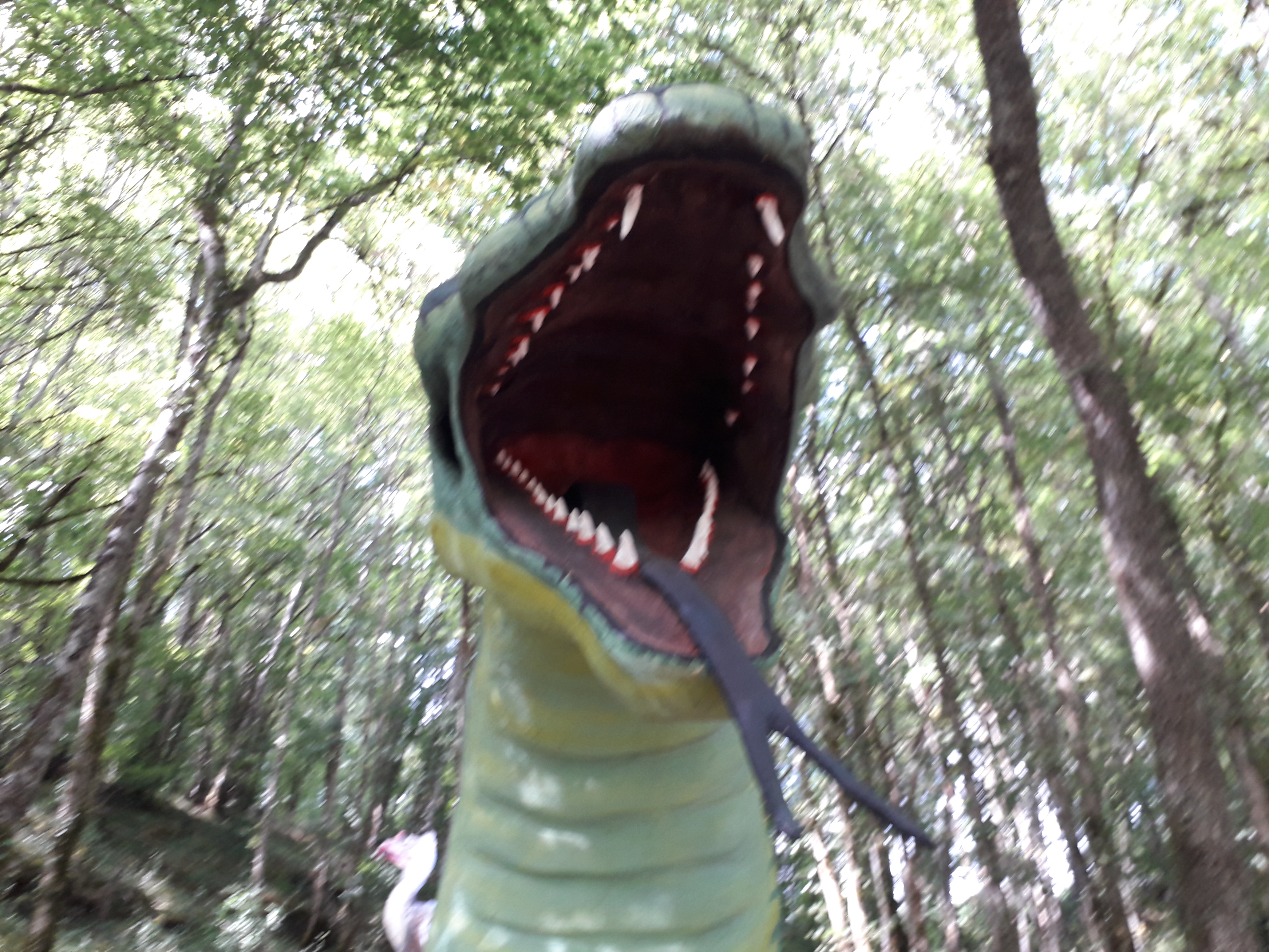 Photo n° 3 de l'avis de Jean-roger.a fait le 25/07/2020 à 18:08