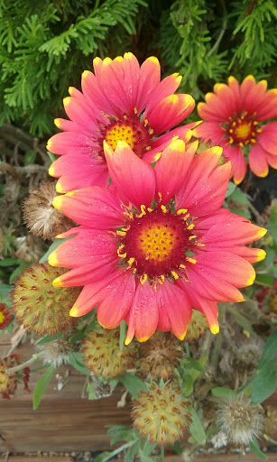 Park «East Snyder Park», reviews and photos, 875 University Ave, Selinsgrove, PA 17870, USA