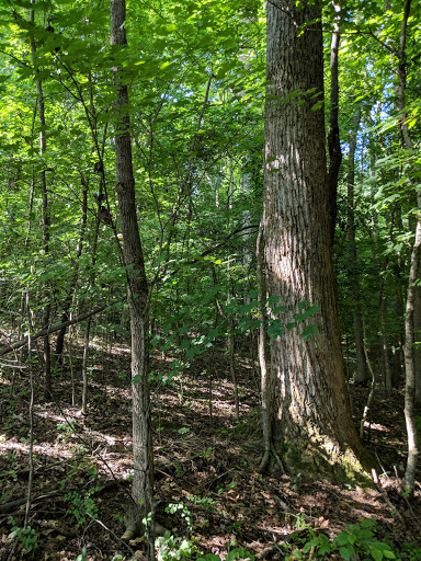 Battle Site «Fort Donelson National Battlefield», reviews and photos, 120 Lock D Rd, Dover, TN 37058, USA