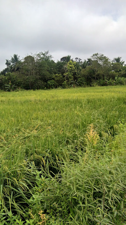 Kampung Seri Desa