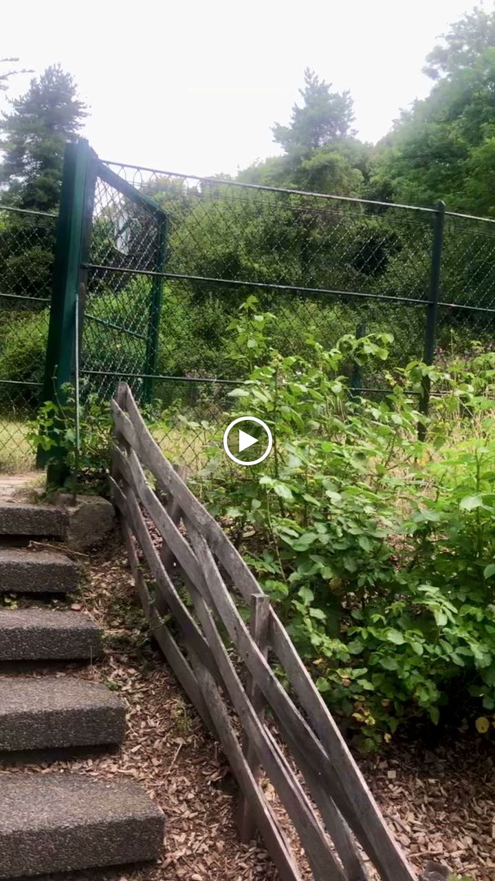 Photo n° 5 de l'avis de Kim.h fait le 24/07/2023 à 16:56