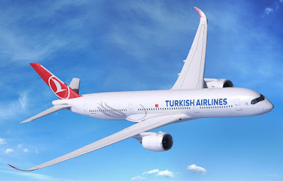 Turkish Airways INC