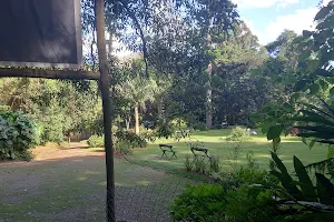 Parque Natural Municipal de Petrópolis image