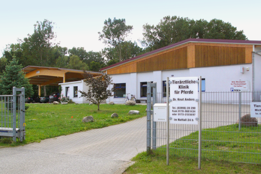 Veterinary clinic for horses - Dr. Knut Anders unter Demmin, Mecklenburg-Vorpommern