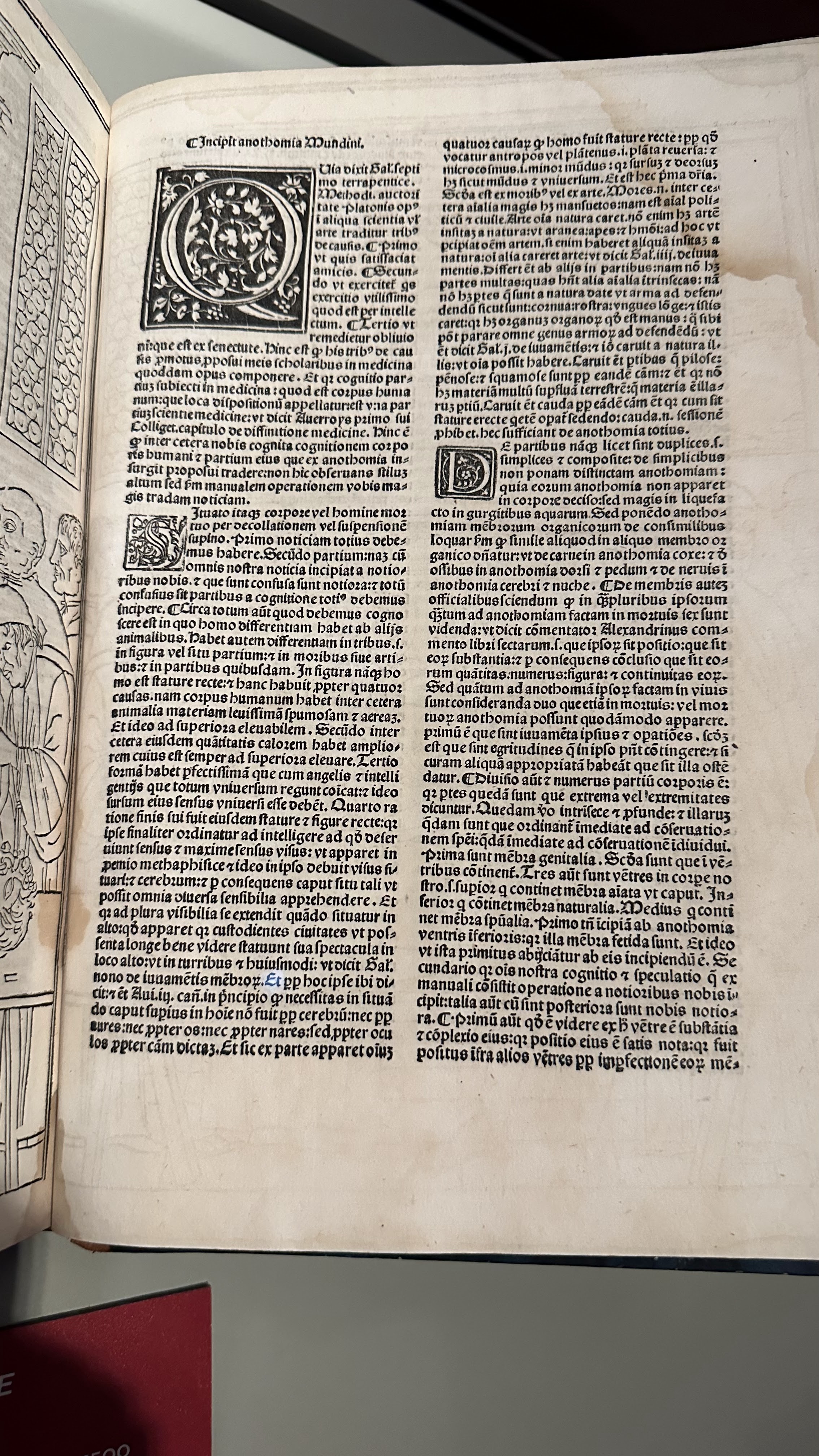 Photo n° 10 de l'avis de Richard.a fait le 01/08/2023 à 14:05