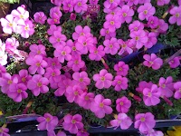 花と緑の百花園