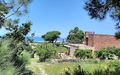 Casa Penedo da Saudade image