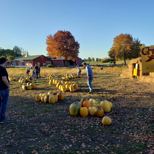 Railroad Company «Flower Farmer», reviews and photos, 2512 N Holly St, Canby, OR 97013, USA