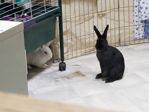 Pet Supply Store «Mounds Pet Food Warehouse», reviews and photos, 5350 King James Way, Fitchburg, WI 53719, USA