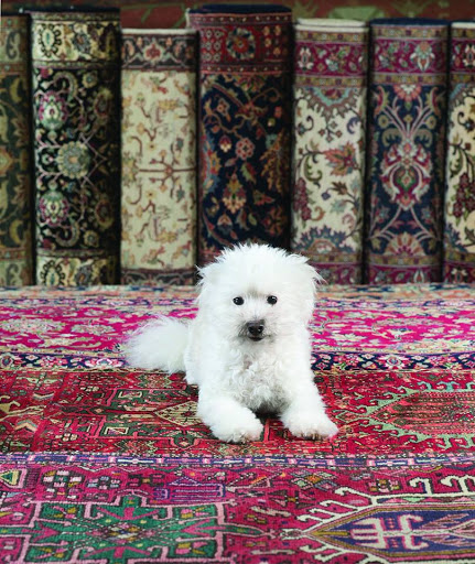 Furniture Store «Green Front Interiors & Rugs», reviews and photos, 2004 Yonkers Rd, Raleigh, NC 27604, USA