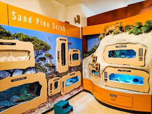 Hobe Sound Nature Center - photo 87