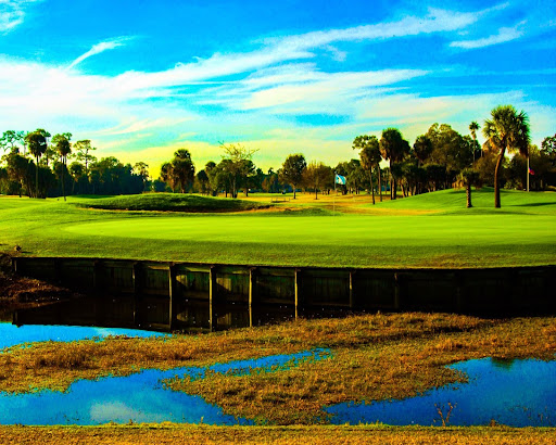 Stadium «Tampa Sports Authority», reviews and photos, 4201 N Dale Mabry Hwy, Tampa, FL 33607, USA