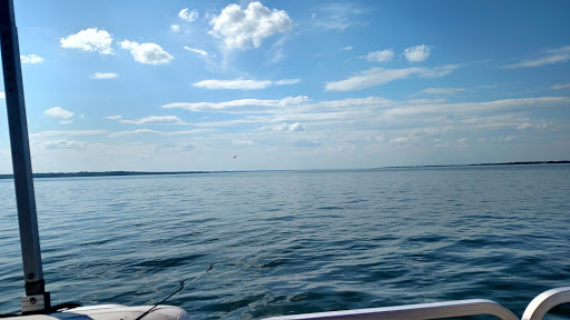 Pet Supply Store «Petco Animal Supplies», reviews and photos, 19 Shining Willow Way, La Plata, MD 20646, USA