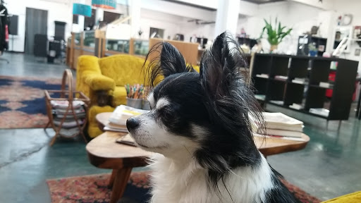 Explore kobe tattoo ideas small, creative tattoo ideas in Bellevue, available at Skin and Soul Tattoo & Piercing