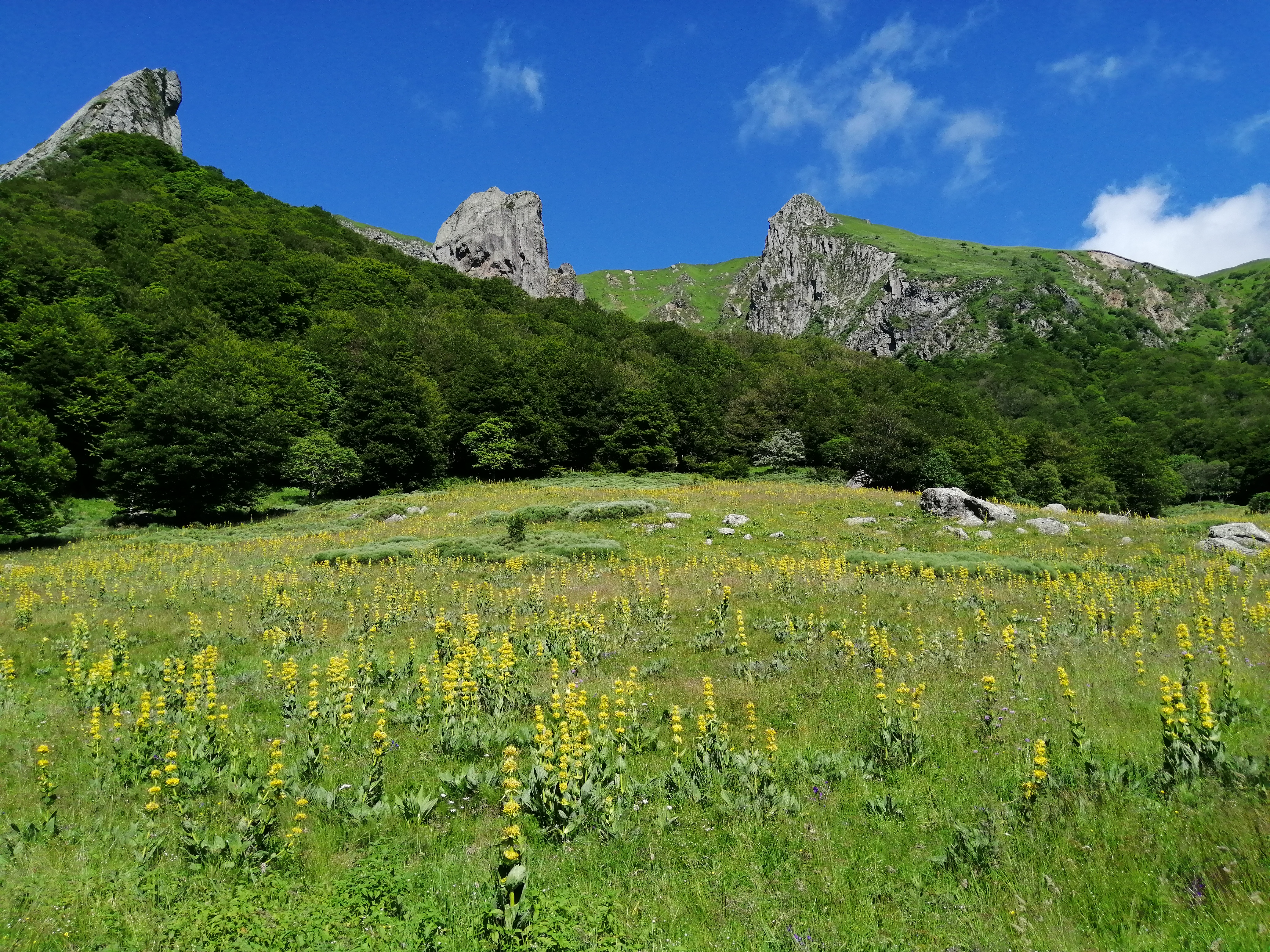 Photo n° 11 de l'avis de benoit.a fait le 12/07/2021 à 14:14