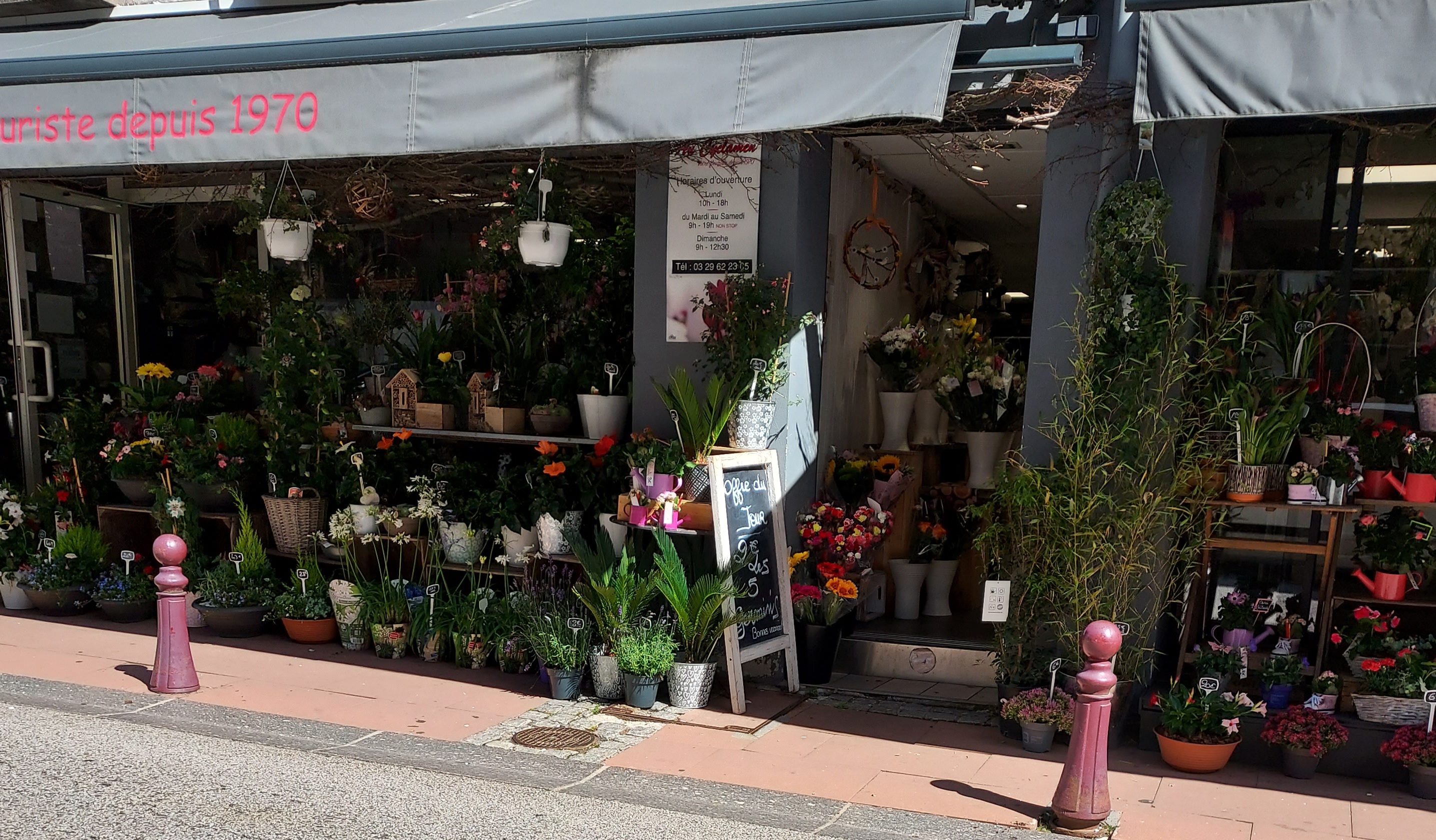 Photo n° 3 de l'avis de Lily.o fait le 15/05/2019 à 17:09