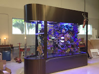 SeaVisions - Photo 9 - Car repair in Southwest Ranches, FL, Miramar