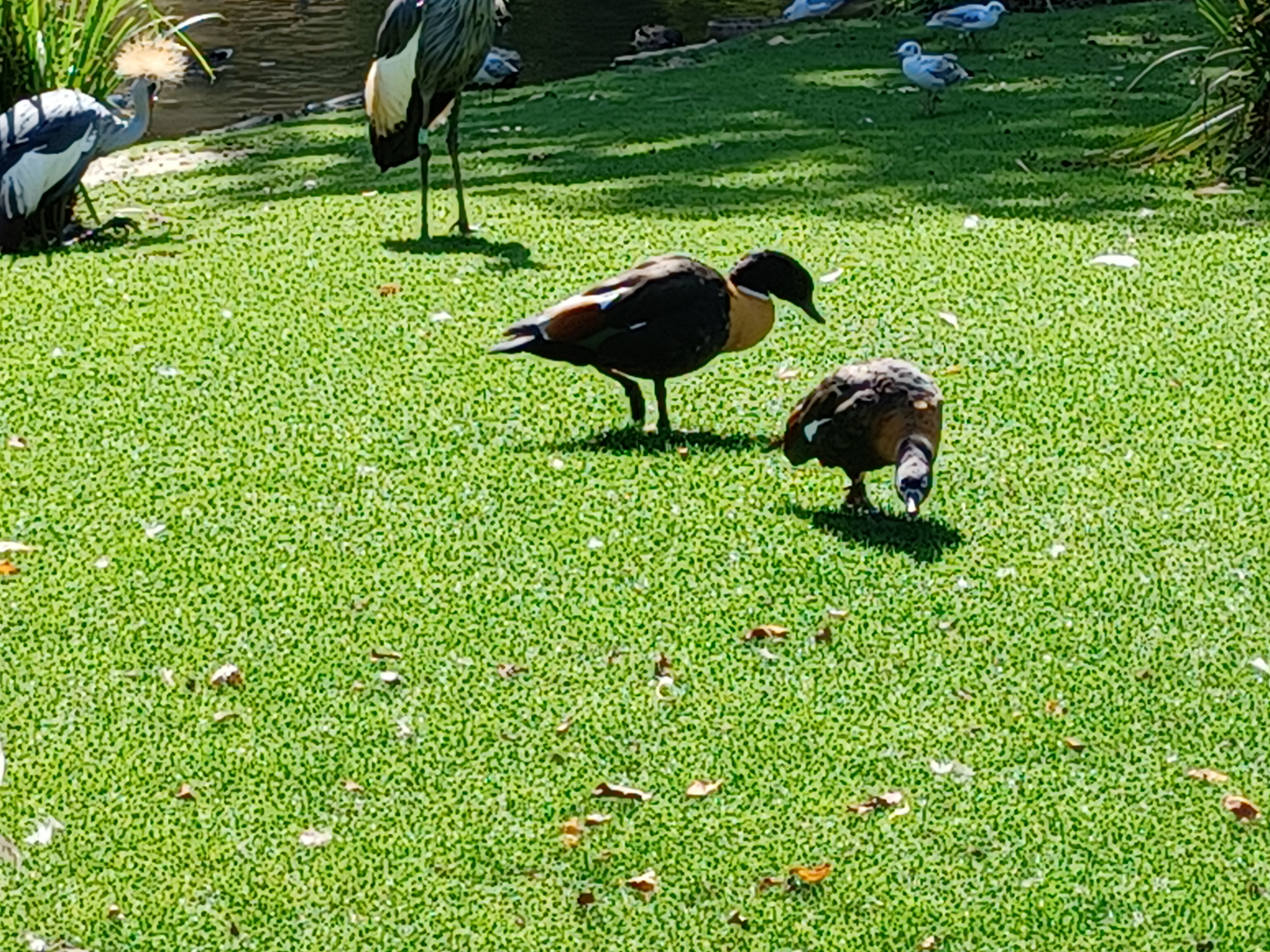 Photo n° 8 de l'avis de Pascale.e fait le 08/09/2021 à 15:53