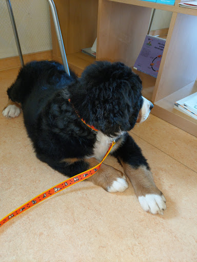 Frank Ebbinghaus unter Bürgel, 