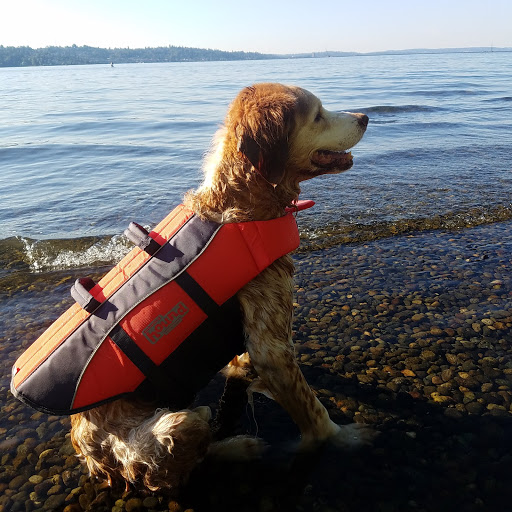 Park «Genesee Park and Playfield», reviews and photos, 4316 S Genesee St, Seattle, WA 98118, USA