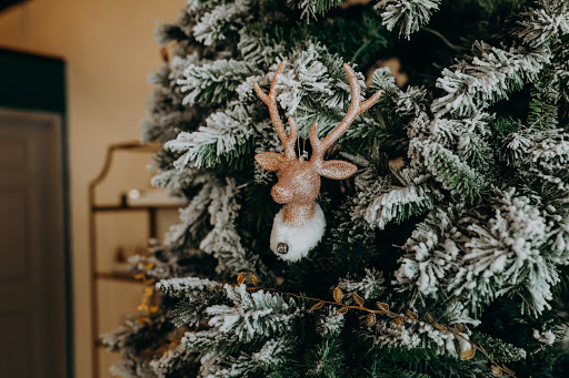 Explore firefly tattoo ideas, creative tattoo ideas in Corpus Christi, available at Prestigious Piercing