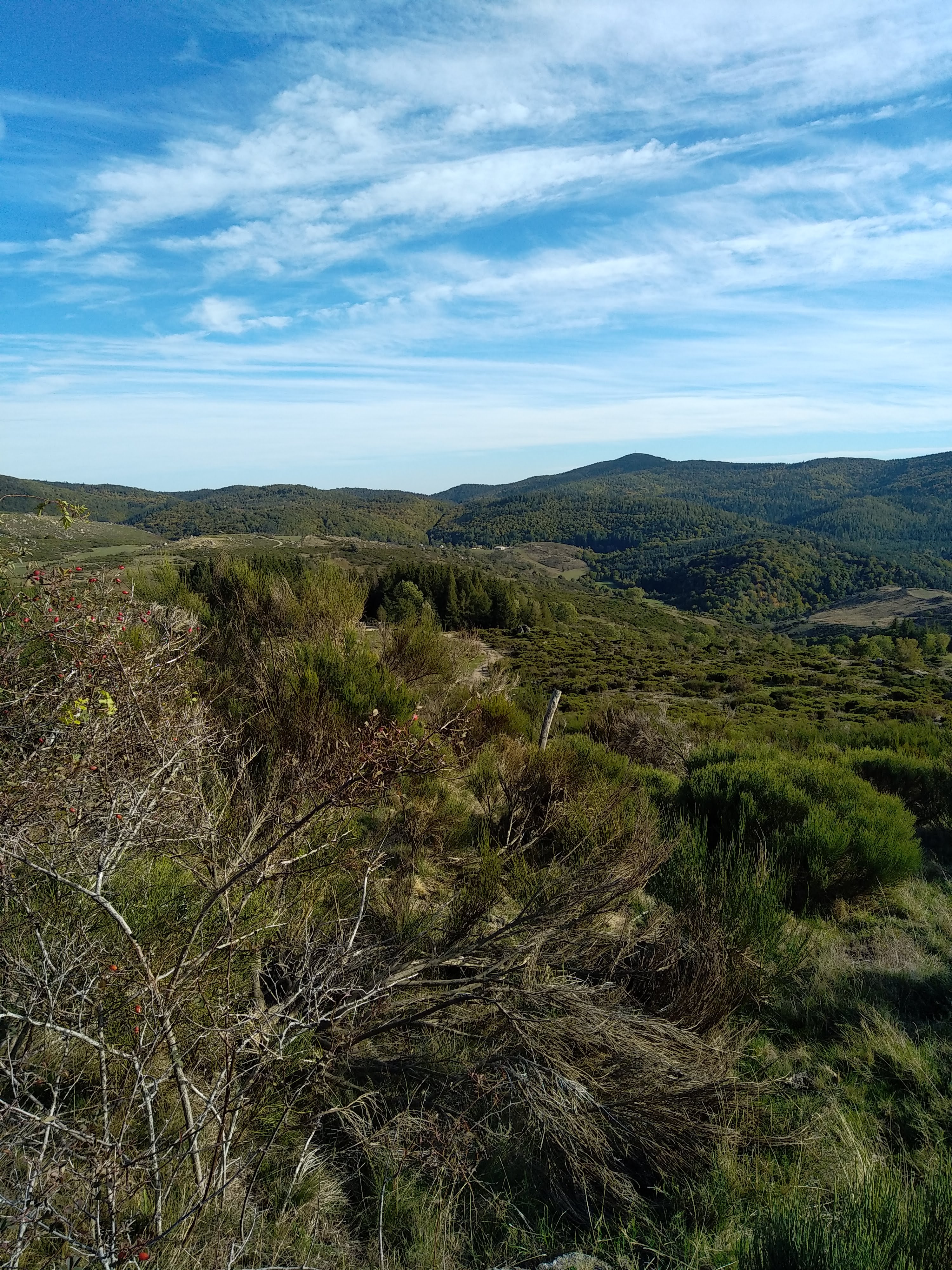 Photo n° 43 de l'avis de Julien.a fait le 15/10/2022 à 19:20