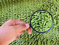 Professional Carpet & Upholstery Cleaners LLC - Photo 6 - Car repair in , Minneapolis