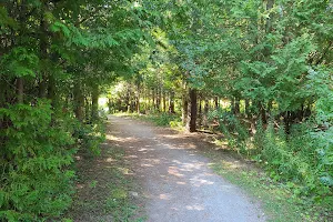 Heber Down/Cullen park trail image