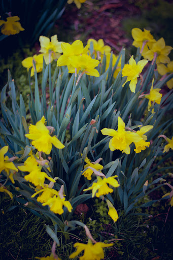 Park «Perrineville Lake Park», reviews and photos, 143 Baird Rd, Millstone, NJ 07726, USA