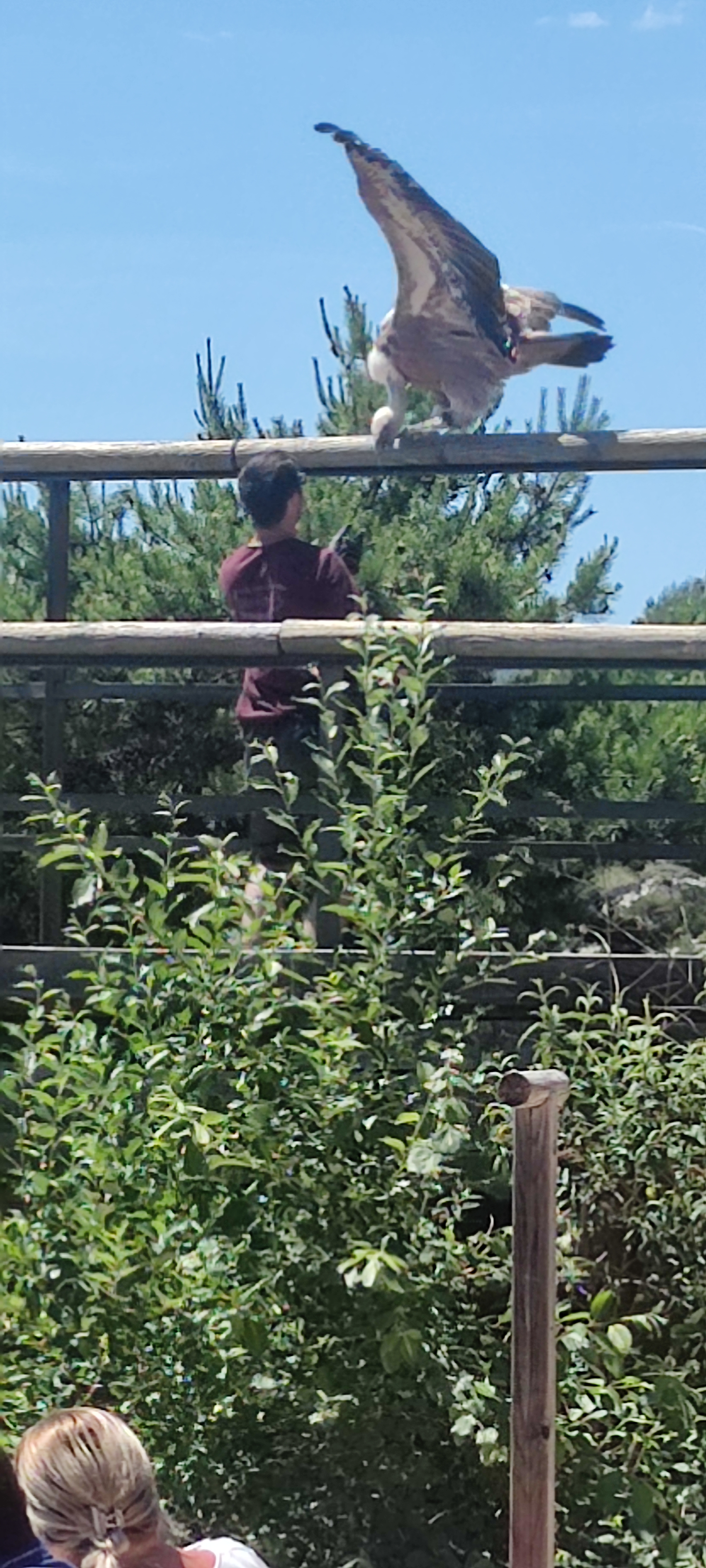 Photo n° 11 de l'avis de BERNARD.O fait le 25/06/2022 à 20:46