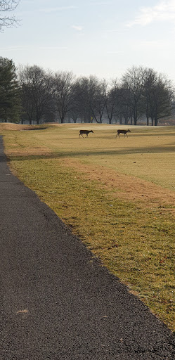 Public Golf Course «Algonkian Golf Course», reviews and photos, 47001 Fairway Dr, Sterling, VA 20165, USA