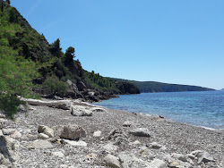 Novo Posta beach'in fotoğrafı vahşi alan