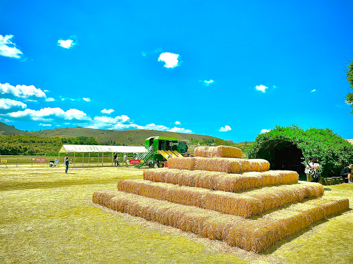 Produce Market «Underwood Family Farms», reviews and photos, 3370 Sunset Valley Rd, Moorpark, CA 93021, USA