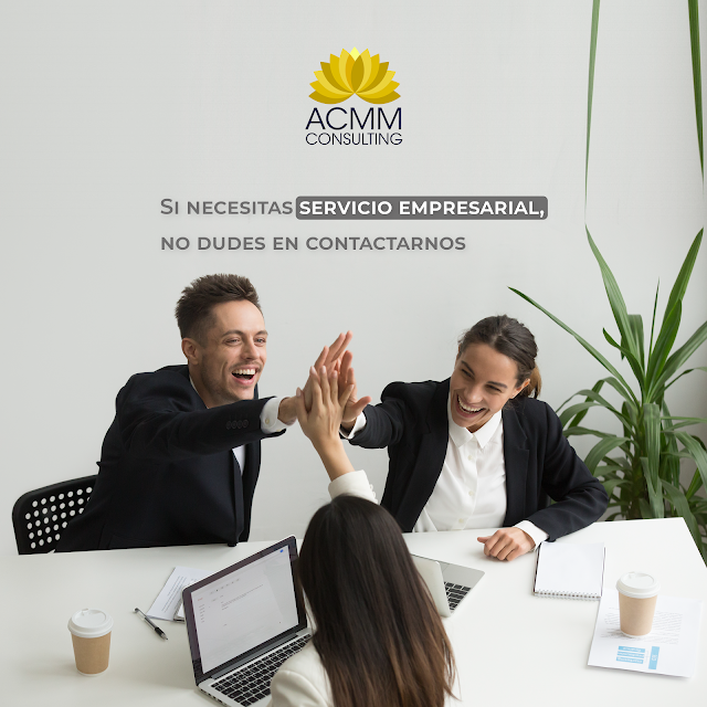 ACMM Consulting, Inc