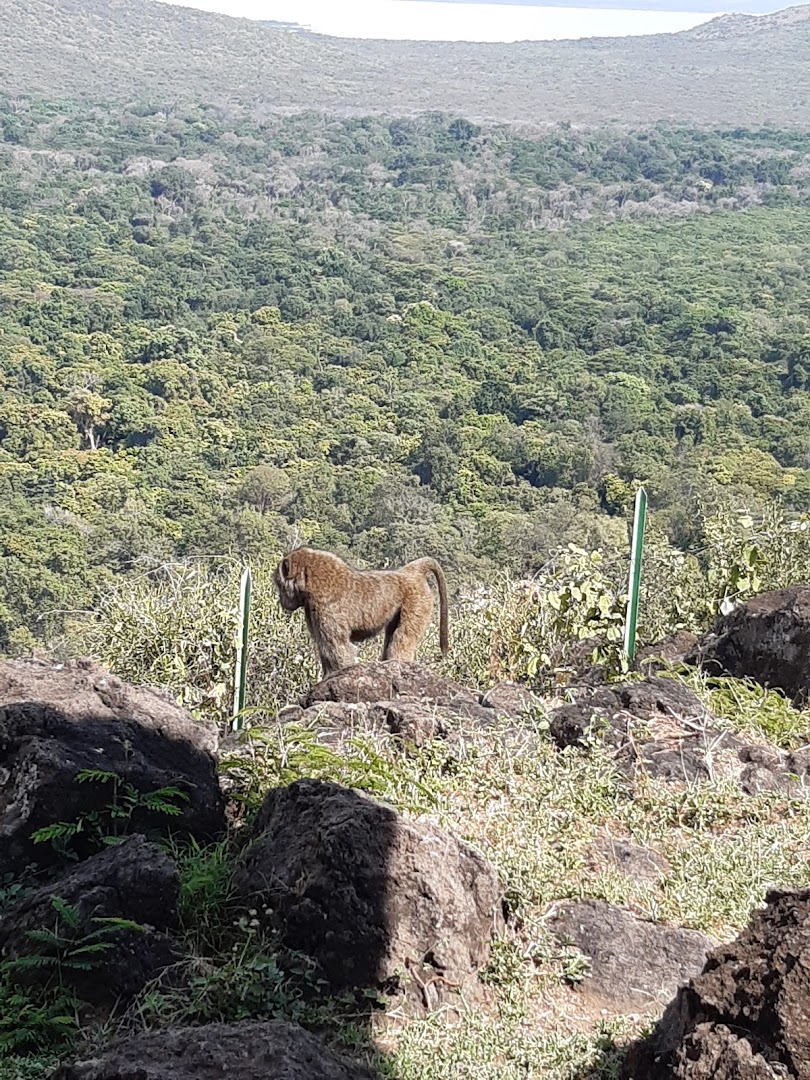 Arba Minch, Etiyopya